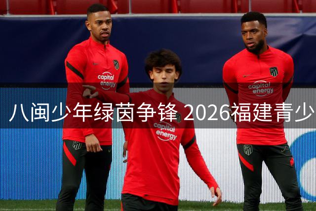 八闽少年绿茵争锋 2026福建青少年校园足球联赛初中组莆田揭幕